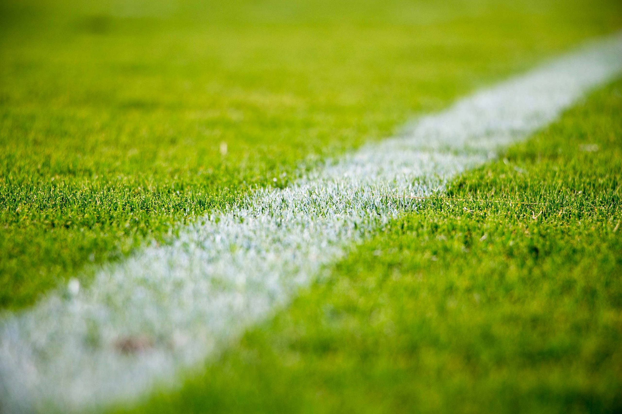 eku fußball em spielfeld rasen