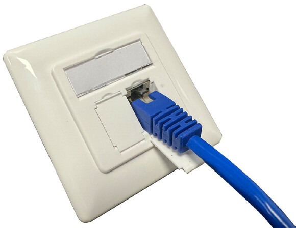 EasyLink 10-GbE Datendose aus Kunststoff mit Beschriftungsfeld, einem zuklappbaren RJ45 Port und einem gepatchtem Port.